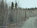 Mi 165 Glenn Highway - Photo 3