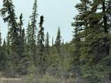 Mi 165 Glenn Highway - Photo 5