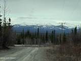 Mi 165 Glenn Highway - Photo 6