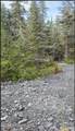 51 Twelve Mile Road - Photo 65