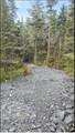 51 Twelve Mile Road - Photo 67