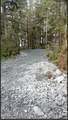 51 Twelve Mile Road - Photo 68