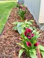4966 Slipstream Drive - Photo 47