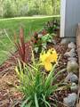 4966 Slipstream Drive - Photo 49