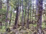 313 Bowhead Loop - Photo 41