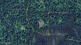 38635 Back Country Drive - Photo 13