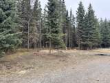 37350 Chinook Street - Photo 59