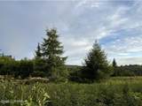 64427 Trail Road - Photo 11