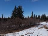 64427 Trail Road - Photo 29