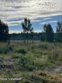 25850 Stinkbug Street - Photo 10