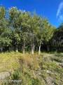 25850 Stinkbug Street - Photo 6