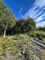 25850 Stinkbug Street - Photo 7