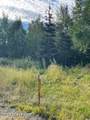 25850 Stinkbug Street - Photo 8