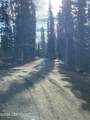 L2 B10 Black Bear Street - Photo 41