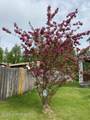 5275 Beak Circle - Photo 48