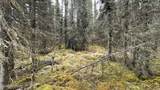 675 Redoubt Avenue - Photo 7