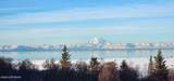 16835 Sterling Highway - Photo 3