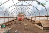 29239 Steadman Circle - Photo 46