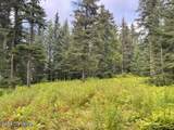 Mi 158 Sterling Highway - Photo 12