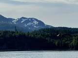 0000 Bear Cove - Photo 21