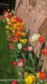 1003 53rd Avenue - Photo 55