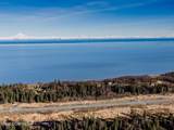 67010 Sterling Highway - Photo 10