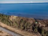 67010 Sterling Highway - Photo 11