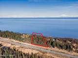 67010 Sterling Highway - Photo 3