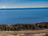 67010 Sterling Highway - Photo 9