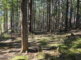 Lot 14 Pyramid Drive - Photo 4