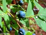 222 Main Street - Photo 25