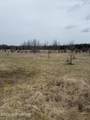36185 Magnolia Street - Photo 35