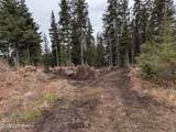 32700 Climbing Street - Photo 77