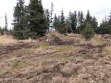 32700 Climbing Street - Photo 79