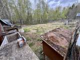 9750 Dog Sled Street - Photo 44