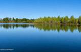 14009 Big Lake Road - Photo 129