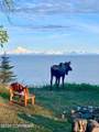 35715 Kalifornsky Beach Road - Photo 17