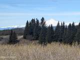 17372 Hyila Lane - Photo 4