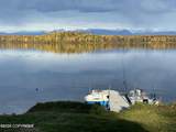 Tr 50-51 No Road - Photo 4