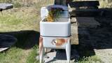 38828 Millie Evans Street - Photo 23