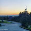 11237 Jessie Mae Circle - Photo 99