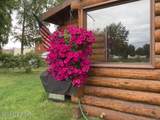 4614 Lake Spenard Drive - Photo 28