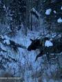 L1 B3 Wolfglen - Photo 11