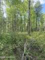 L1 B3 Wolfglen - Photo 19