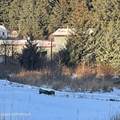 202 Spruce Drive - Photo 2