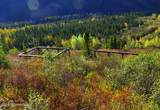 91.5 Denali Park Road - Photo 14