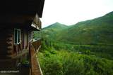 91.5 Denali Park Road - Photo 16