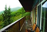 91.5 Denali Park Road - Photo 7
