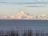 45375 Kenai Spur Highway - Photo 16