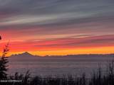 45375 Kenai Spur Highway - Photo 17